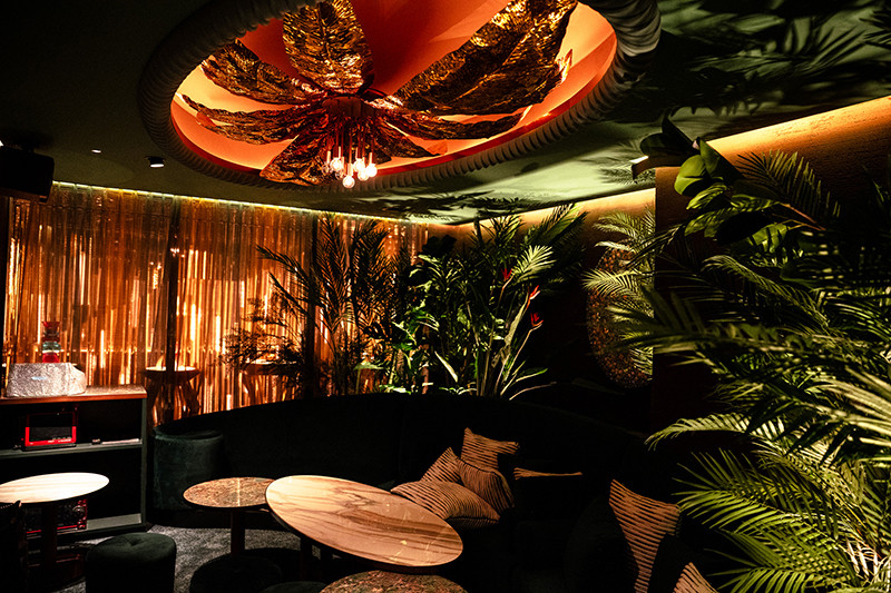 UNJOUR TOKYO/六本木画像79352