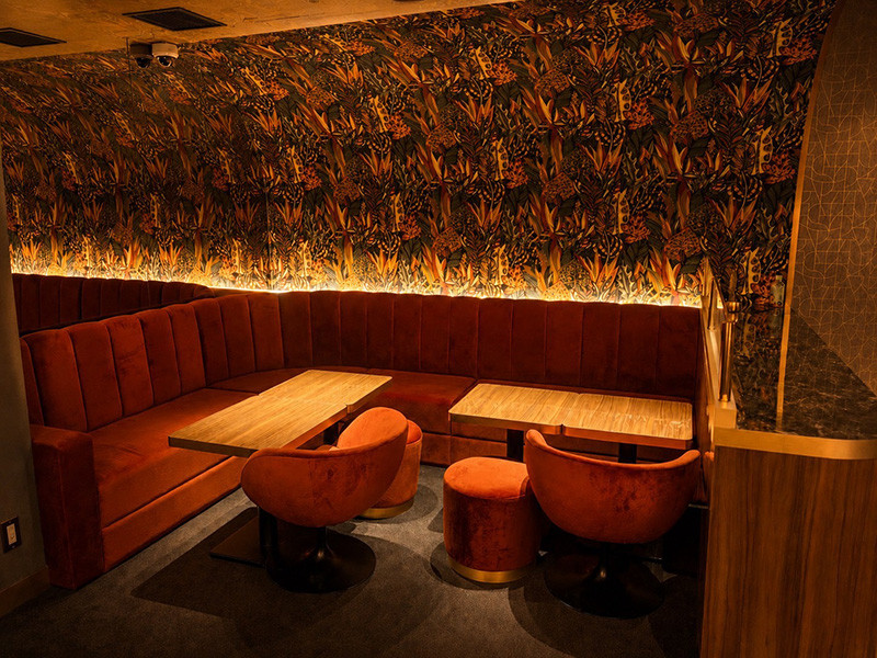 VIVIA LOUNGE/上野画像87407