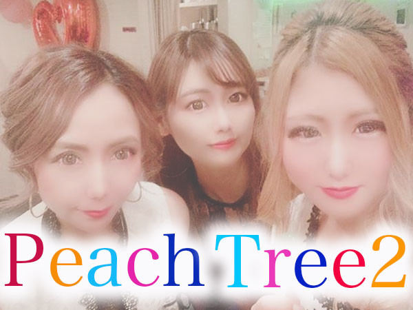 Peach Tree2 熊本植木店/植木町画像49805