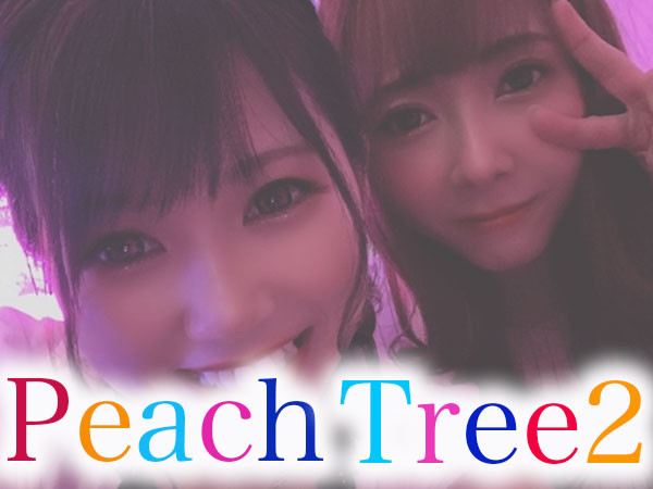 Peach Tree2 熊本松橋店/松橋町画像49812