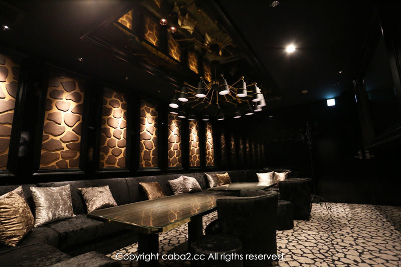 ZOO TOKYO/六本木画像75826